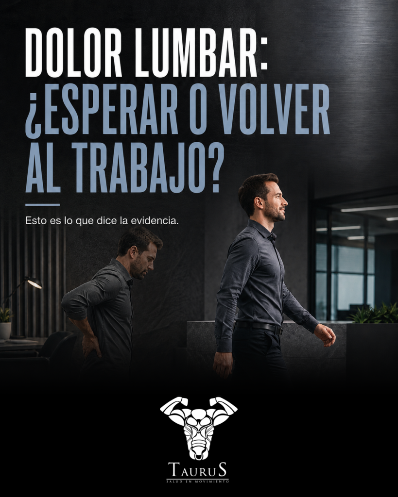 Portada original de Taurus Paper sobre dolor lumbar